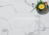 JSTQ-CS25